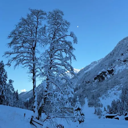 Alpenchalet Lengau Chalet *