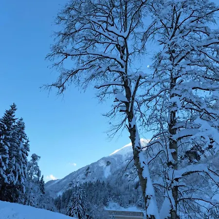 Alpenchalet Lengau シャレー Dornauberg