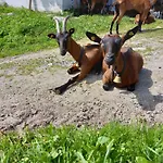 شاليه Alpenchalet Lengau Im Bergsteigerdorf Ginzling Dornauberg
