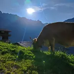 Alpenchalet Lengau Im Bergsteigerdorf Ginzling شاليه Dornauberg