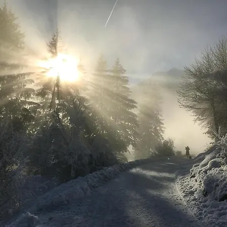 Alpenchalet Lengau * Dornauberg