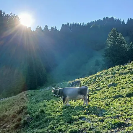 Alpenchalet Lengau Im Bergsteigerdorf Ginzling *