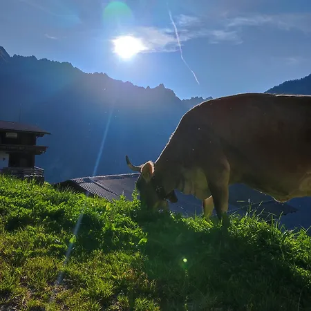 Alpenchalet Lengau Im Bergsteigerdorf Ginzling Dağ evi Dornauberg