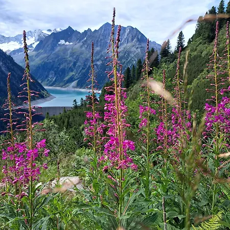 Alpenchalet Lengau Im Bergsteigerdorf Ginzling * Dornauberg